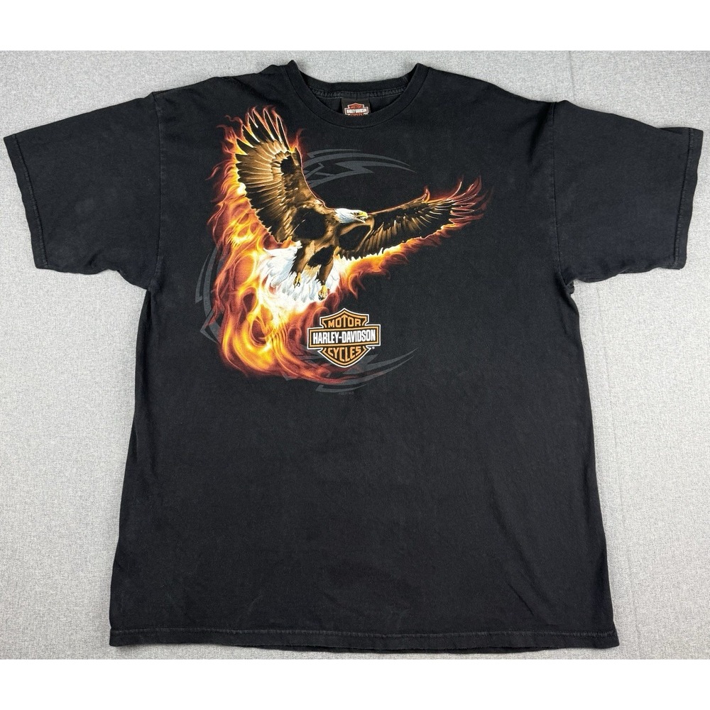 Harley Davidson Mens XL T Shirt 2011 Hillbilly Gatlinburg TN Eagle Motorcycle